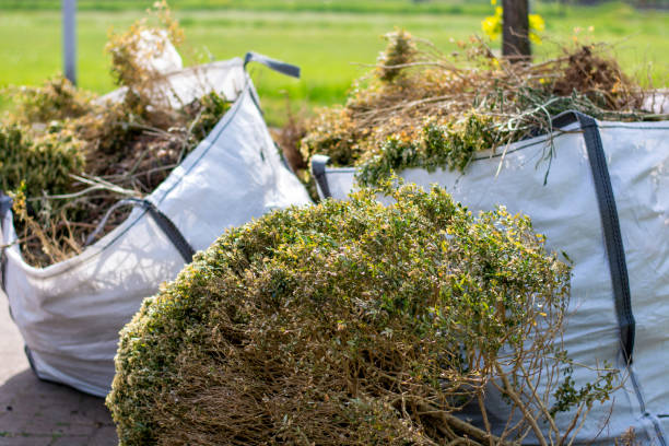 Commercial Cleanout Services in Marks, MS